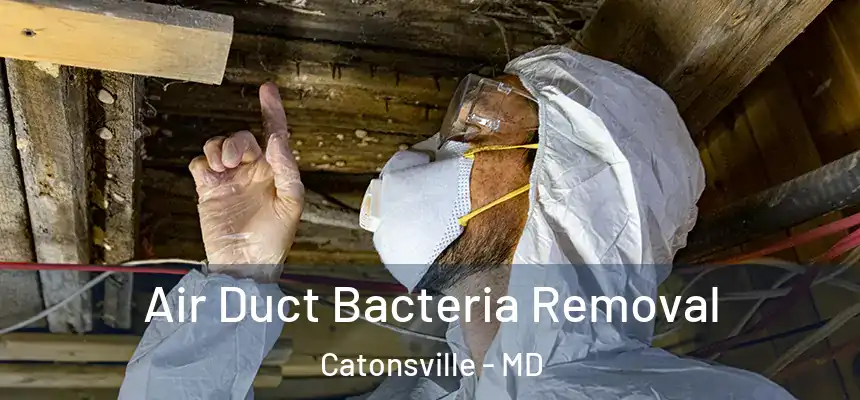 Air Duct Bacteria Removal Catonsville - MD