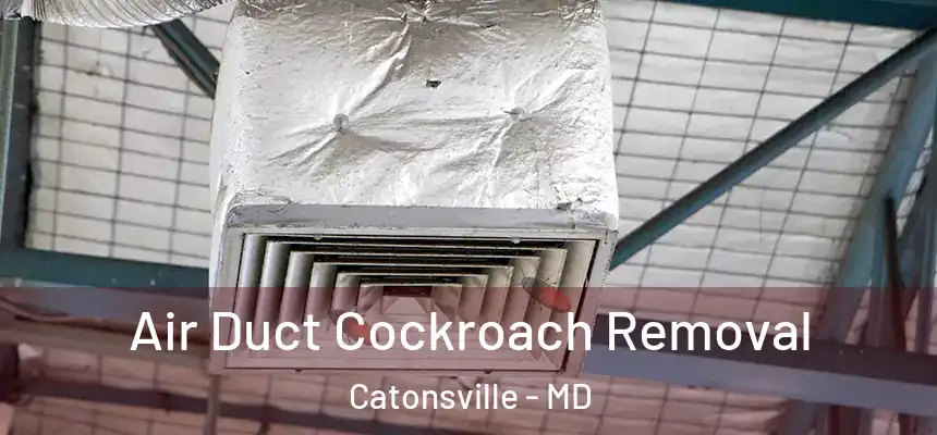  Air Duct Cockroach Removal Catonsville - MD