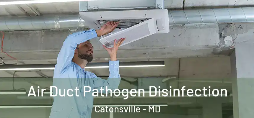 Air Duct Pathogen Disinfection Catonsville - MD