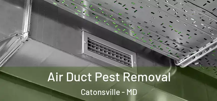 Air Duct Pest Removal Catonsville - MD
