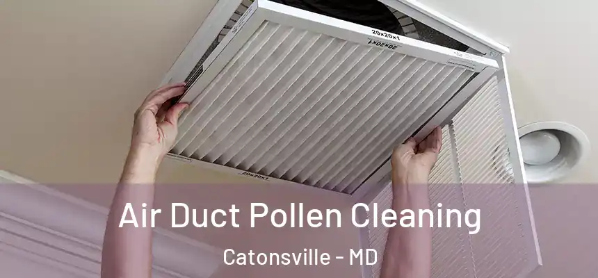 Air Duct Pollen Cleaning Catonsville - MD