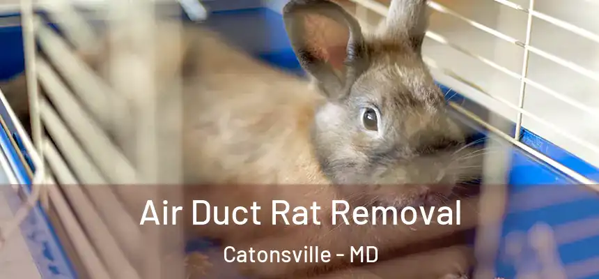 Air Duct Rat Removal Catonsville - MD