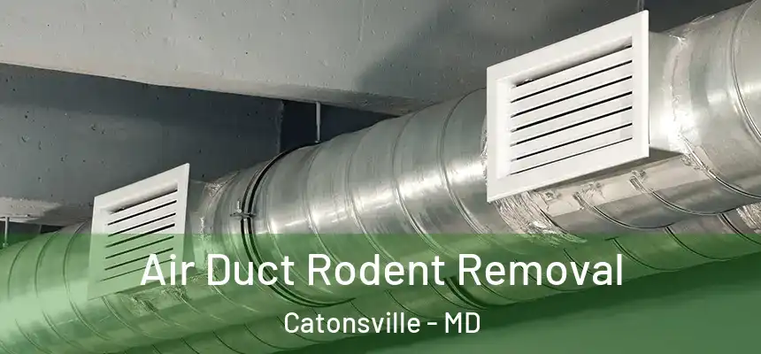 Air Duct Rodent Removal Catonsville - MD