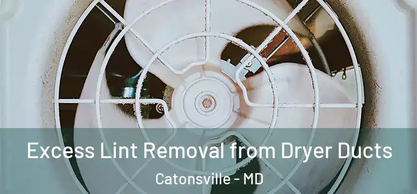 Excess Lint Removal from Dryer Ducts Catonsville - MD