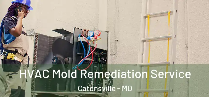 HVAC Mold Remediation Service Catonsville - MD