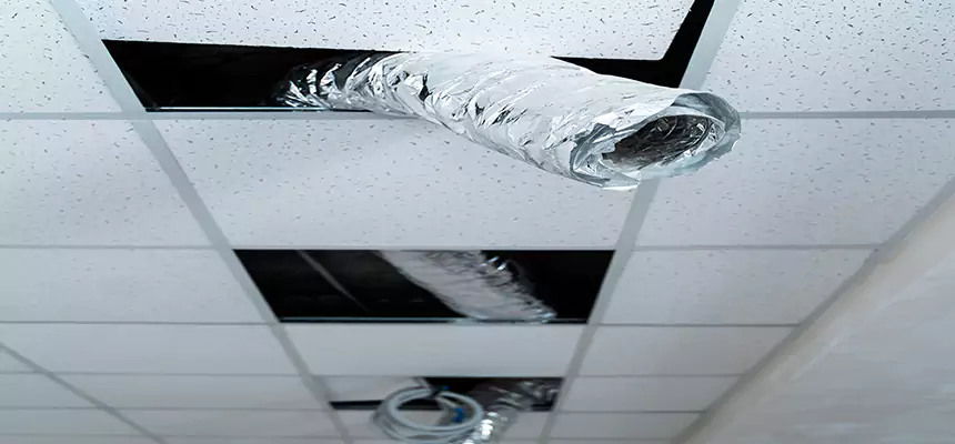 Our Air Duct Pet Hair Removal Services in Catonsville, MD