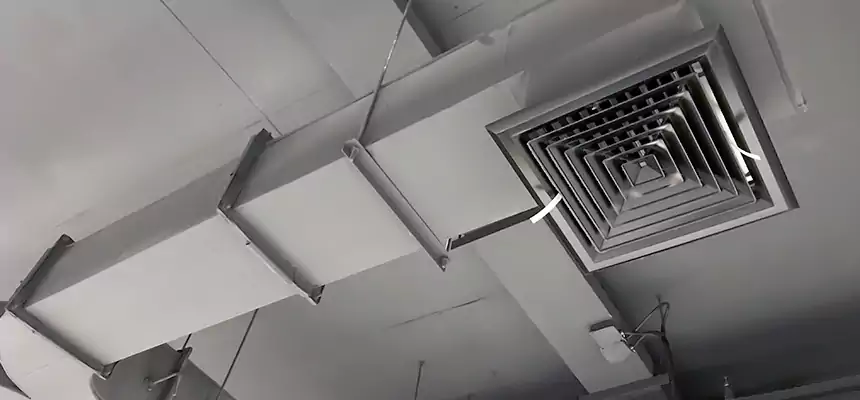 Restorative Allergy Relief Vent Cleaning – Coil, Blower & Housing Detail in Catonsville