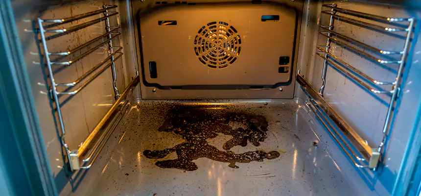 Our Dryer Vent Mold Cleaning Services in Catonsville, MD