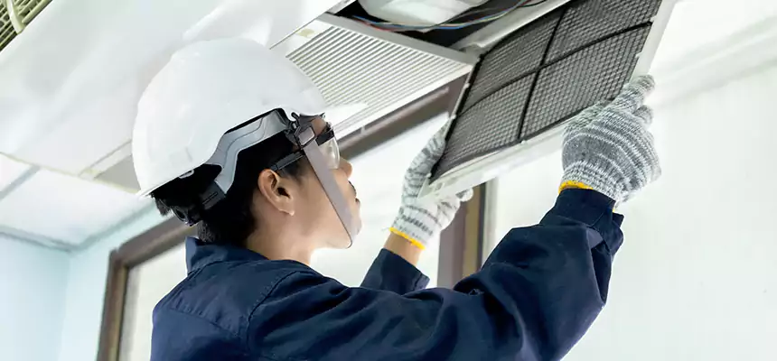 Our Mold & Mildew Removal from Air Ducts Services in Catonsville, MD