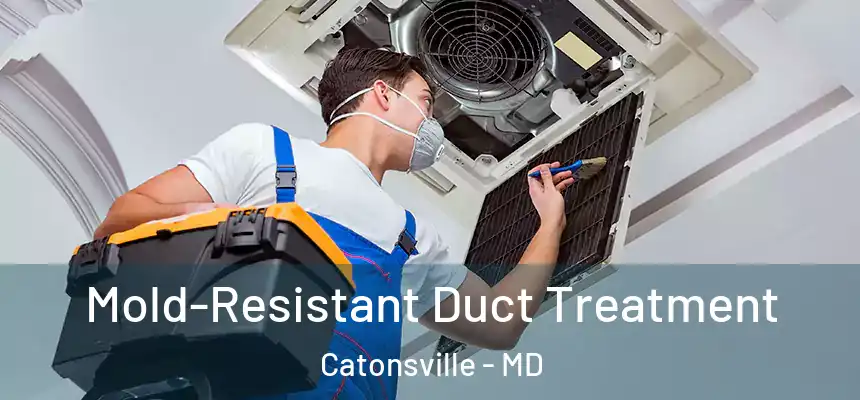  Mold-Resistant Duct Treatment Catonsville - MD