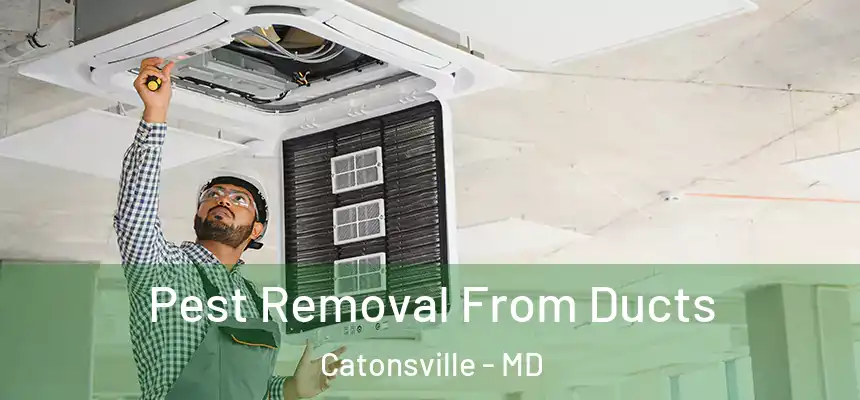  Pest Removal From Ducts Catonsville - MD
