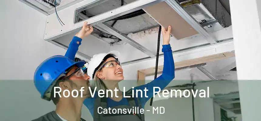 Roof Vent Lint Removal Catonsville - MD