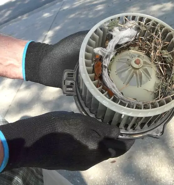 About Air Duct Mice Removal in Catonsville, MD