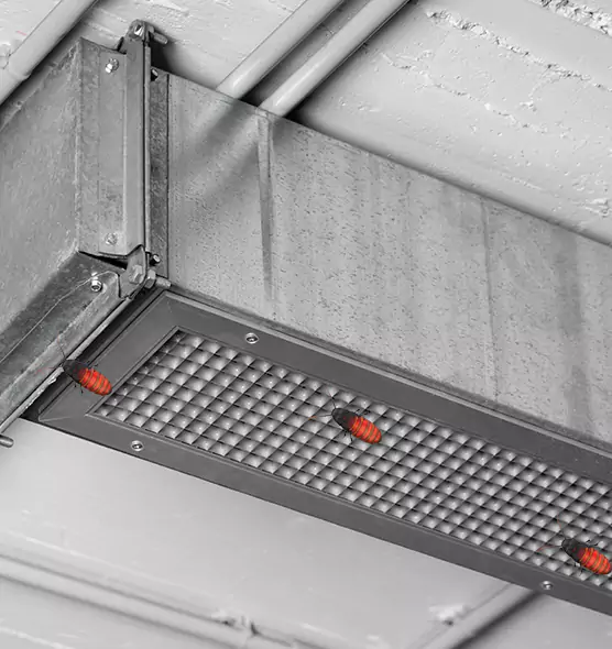 Affordable Insect Removal from Air Ducts in Catonsville, MD