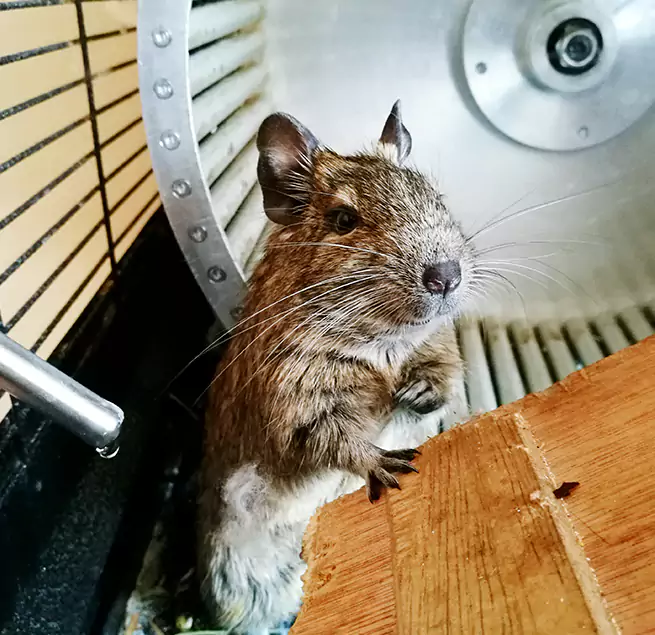 Why Homeowners & Businesses Trust Us Catonsville, MD