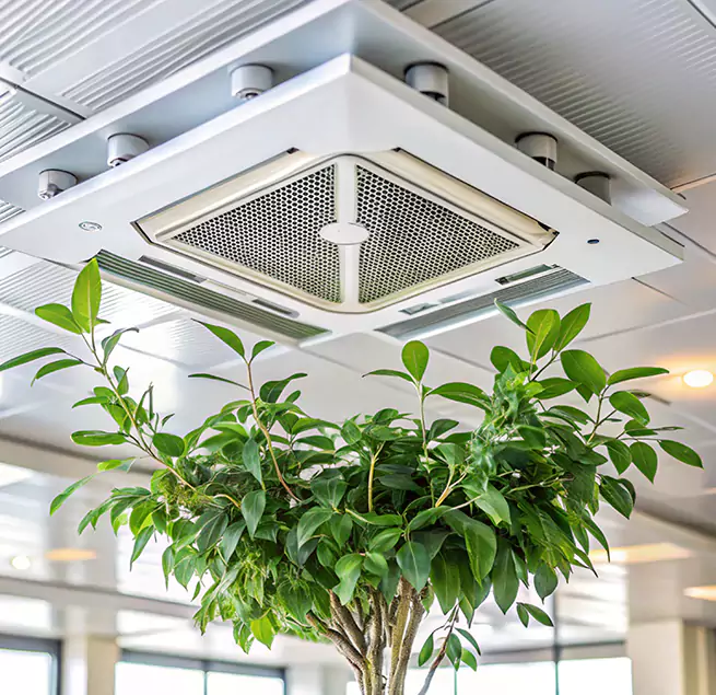 Why Homeowners & Businesses Trust Us in Catonsville, MD?