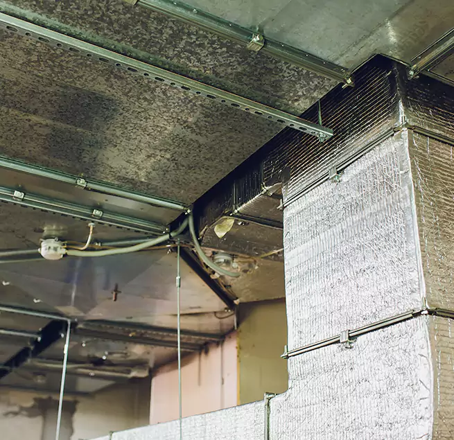 Why Homeowners & Businesses Trust Us in Catonsville, MD?